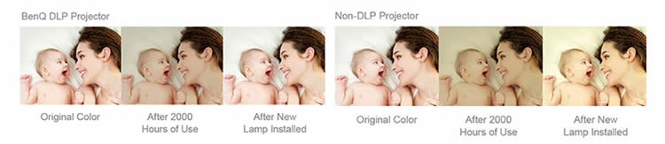 dlp-long-lasting